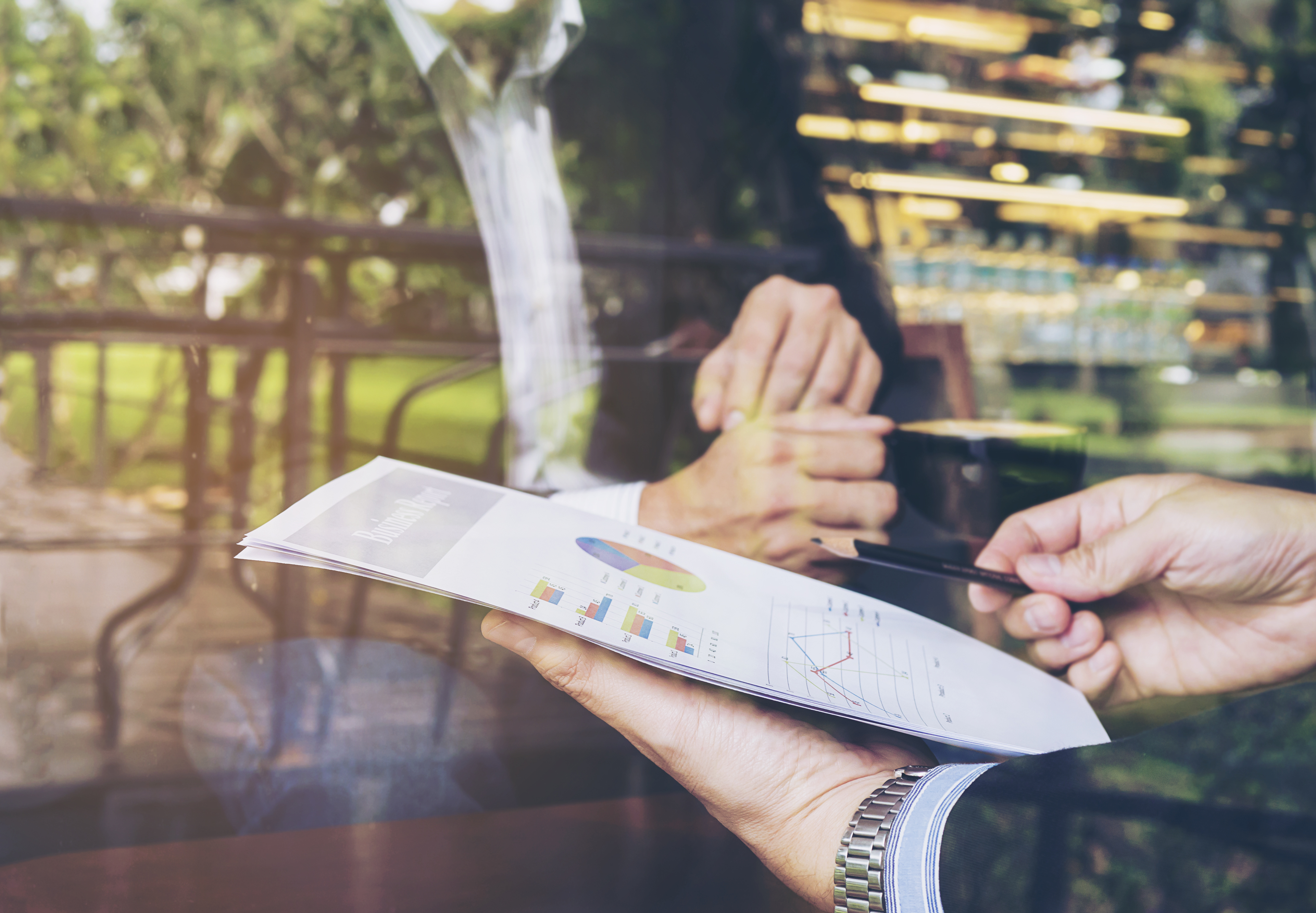 Defensa ambiental en procesos constitucionales