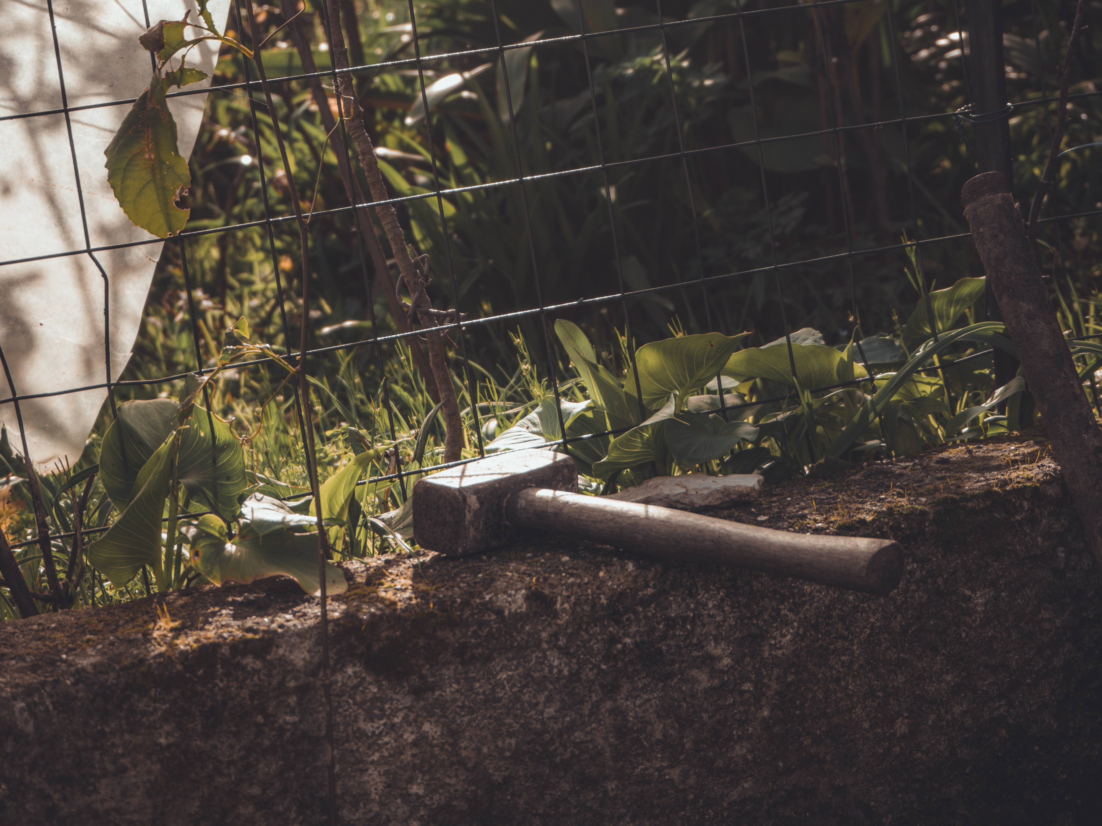 Alteración del paisaje